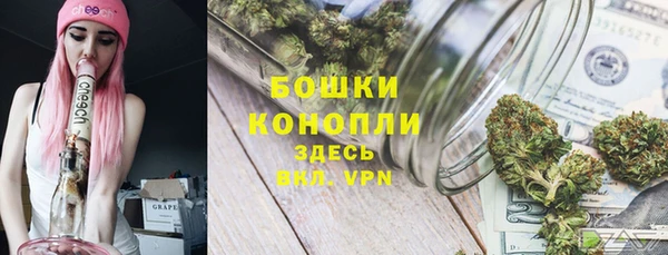 мяу мяу мука Гусев
