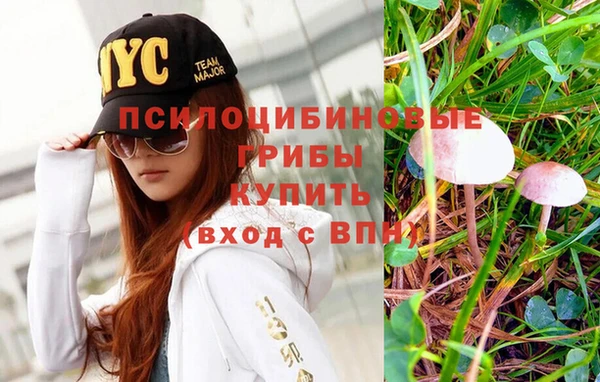 мет Гусь-Хрустальный