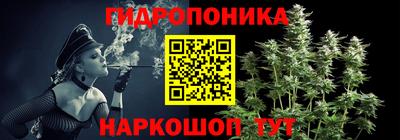 дживик Гай
