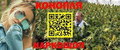 дживик Гай