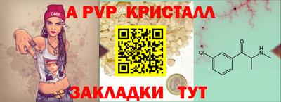 дживик Гай