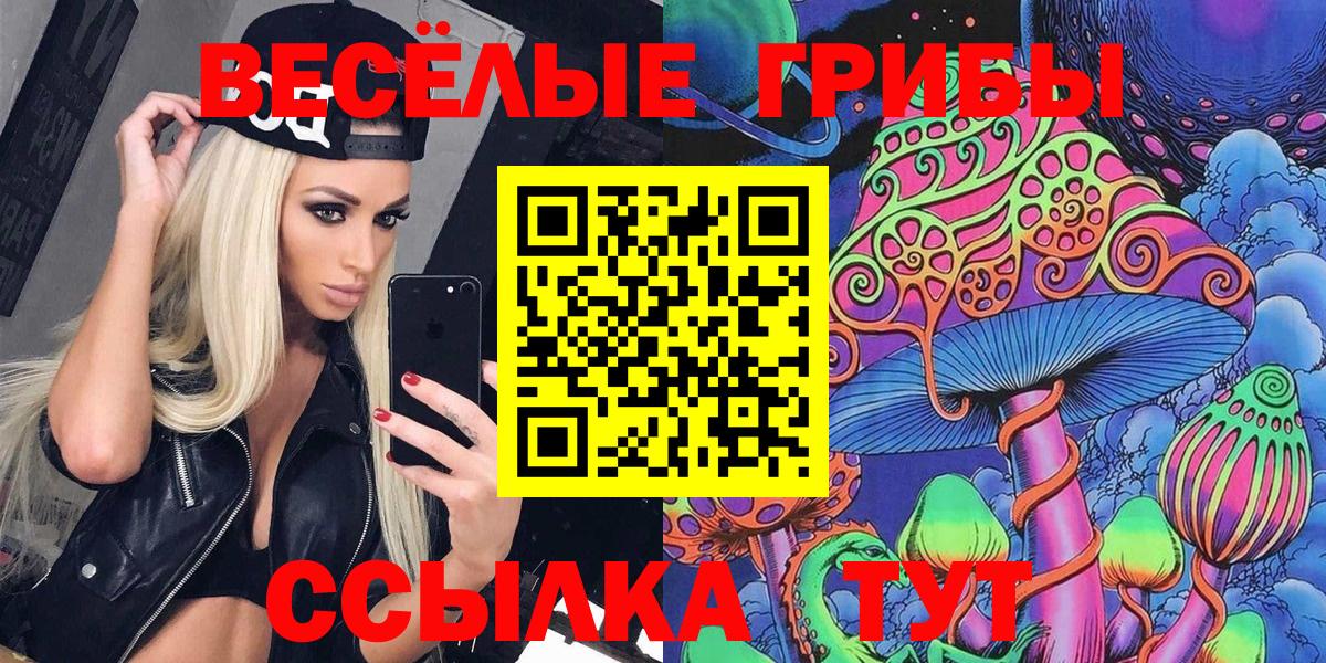 Галлюциногенные грибы прущие грибы  цены наркотик  Зеленодольск  Вход с VPN 